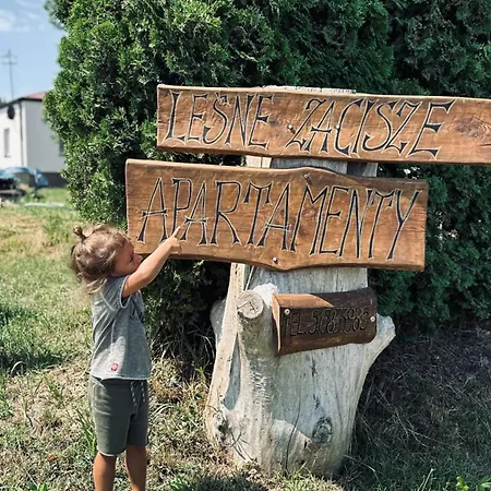 Lesne Zacisze דירה